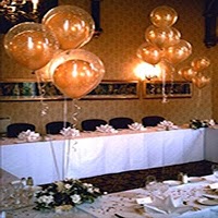 1 Stop Wedding Solutions 1080672 Image 0